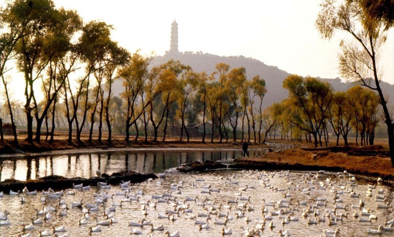 昔日的玉泉山，当年的北京鸭